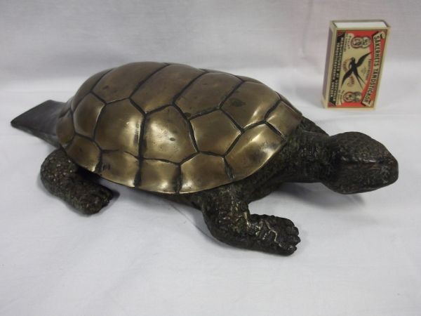 schildpad brons